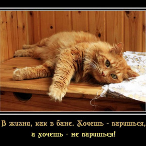 позитивные картинки с субботой