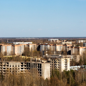 В чернобыльской зоне отчуждения исчезают воробьи