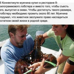 Фото где девушек делают в мужчин 29 Фото где девушек делают в мужчин 79