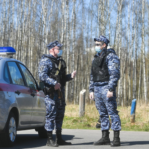 Полиция Сочи проверит сообщения о якобы съеденном лабрадоре