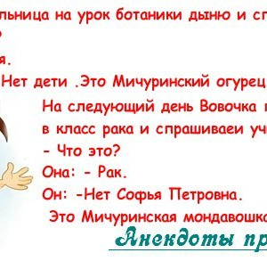 анекдоты про картинки вовочку