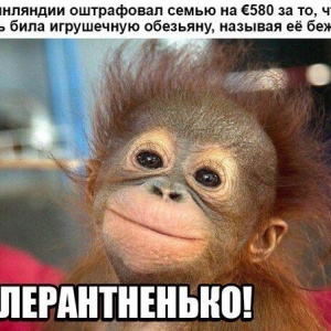 картинки со смыслом прикольные с надписями