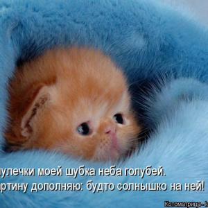 позитив картинки с надписями