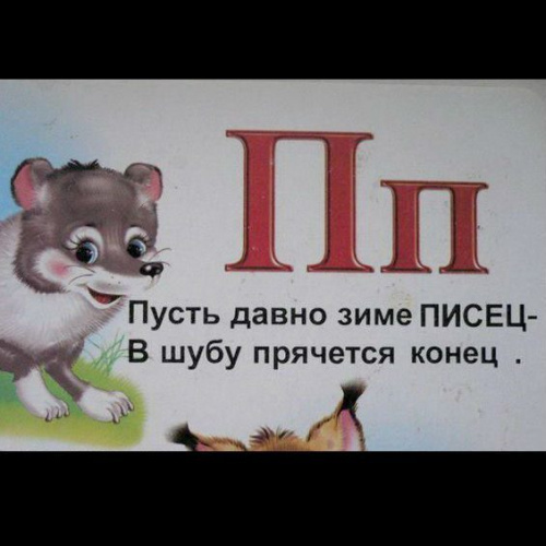 original.jpg