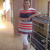 Светлана Радионова