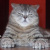 RELAX Войнов