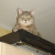 Leo ОлеG@rh
