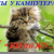 Серж Бонд