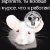 Ник Неважно