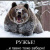 Владимир Белецкий