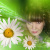Елена (ytbpdtcnyf)