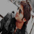 hiader alteb