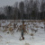 Александр Машкин