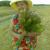 Антонина Астафьева