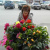 sansanna57 череых