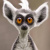 Lemur _