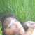 swetlana werwein
