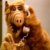 alf66