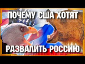 Почему США хотят развалить Россию | Видео YouTube