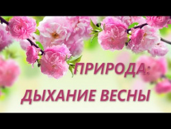 Природа: дыхание весны. Природа: дыхание весны.