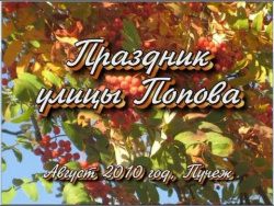 Праздник улицы Попова Праздник улицы Попова