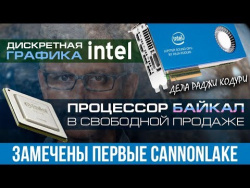 Видеокарты от Intel, российский процессор в продаже и ноутбук дешевле сборного ПК Видеокарты от Intel, российский процессор в продаже и ноутбук дешевле сборного ПК