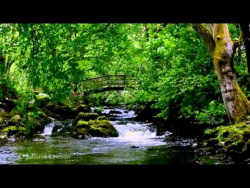 Relax 8 Hours-Relaxing Nature Sounds-Study-Sleep-Meditation-Water Sounds-Bird Song Relax 8 Hours-Relaxing Nature Sounds-Study-Sleep-Meditation-Water Sounds-Bird Song
