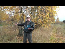 Я последний поэт деревни Я последний поэт деревни