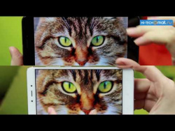 Заместители флагманов: сравнение Xiaomi Redmi Note 4, Meizu MX6, Huawei Honor 8 и ZTE Axon 7 Mini Заместители флагманов: сравнение Xiaomi Redmi Note 4, Meizu MX6, Huawei Honor 8 и ZTE Axon 7 Mini