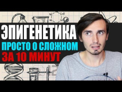 Эпигенетика - наука о наших генах | LOONY Эпигенетика - наука о наших генах | LOONY