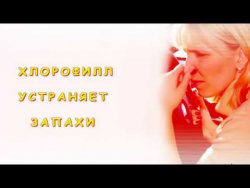 Хлорофил зеленое чудо1 Хлорофил зеленое чудо1