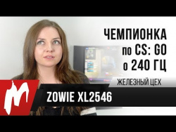Чемпионка мира по CS:GO о 240 Гц — Zowie XL2546 Чемпионка мира по CS:GO о 240 Гц — Zowie XL2546