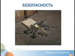 Гарантия качества NSP Гарантия качества NSP