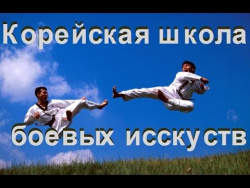 Корейская школа боевых исскуств. Подготовка Охранников президента Корейская школа боевых исскуств. Подготовка Охранников президента