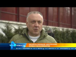 Эксперты признали "докторскую" колбасу фальсификатом Эксперты признали "докторскую" колбасу фальсификатом