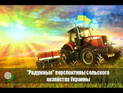 Перспективы сельского хозяйства Украины Перспективы сельского хозяйства Украины