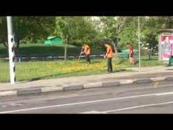 Вот так косят траву в Москве) Вот так косят траву в Москве)