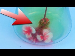 Хлор - ГАЗ, ОЧИЩАЮЩИЙ ВОДУ! Хлор - ГАЗ, ОЧИЩАЮЩИЙ ВОДУ!