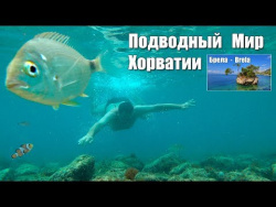 Подводный Мир Хорватии Подводный Мир Хорватии