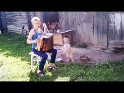 Угарные приколы про домашних животных Самые милые животные коты и собаки smart videos cute pets Угарные приколы про домашних животных Самые милые животные коты и собаки smart videos cute pets