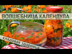 Волшебница Календула Волшебница Календула
