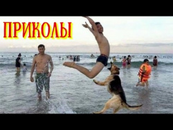 Лучшие Приколы 2017 Июль - Где спиннер, так и не увидел! Лучшие Приколы 2017 Июль - Где спиннер, так и не увидел!