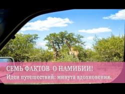 7 фактов о Намибии 7 фактов о Намибии