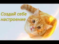 Забавные животные видео кошки, собаки Самые смешные животные. Для детей Создай себе настроение Забавные животные видео кошки, собаки Самые смешные животные. Для детей Создай себе настроение