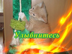 Смешное о животных Позитив Создай себе хорошее настроение Смешное о животных Позитив Создай себе хорошее настроение