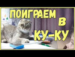 Приколы про школьников и котов 2017 Смешные Коты и дети школьницы прикол Приколы про школьников и котов 2017 Смешные Коты и дети школьницы прикол