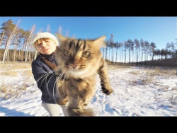 ПРИКОЛЫ С ЖИВОТНЫМИ 2018 Funny And Cute Animals Videos Compilation ПРИКОЛЫ С ЖИВОТНЫМИ 2018 Funny And Cute Animals Videos Compilation