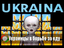Украинцы в борьбе за еду Украинцы в борьбе за еду