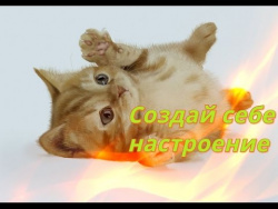 Прикольные животные .Смешные животные.Для детей,Позитив Создай себе хорошее настроение Прикольные животные .Смешные животные.Для детей,Позитив Создай себе хорошее настроение