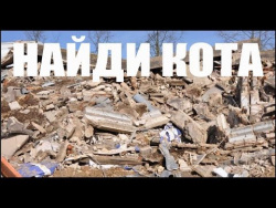 Найди кота. Задачка на логику. Найди кота. Задачка на логику.